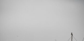 Istanbul Muğla Arası Kaç Km? İki Şehrin Güzellikleri Hakkında Bilgi