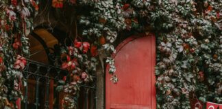 Ankara Sakarya Arası Kaç Km? Seyahat Planınızı Kolaylaştırın!