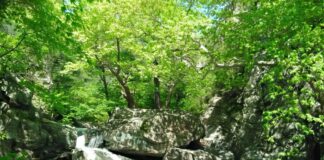 Bursa İzmir Arası Kaç Km? Keşfetmek İçin Neden Gidilmeli!