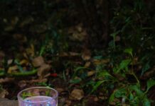 Konya Mersin Arası Kaç Km? Seyahat Planınızı Kolaylaştırın!