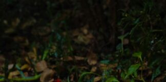 Konya Mersin Arası Kaç Km? Seyahat Planınızı Kolaylaştırın!