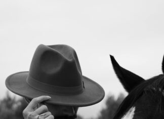 Adana Hatay Arası Kaç Km? Hızlı Ulaşım Yöntemleri ve İpuçları
