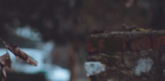 Muğla Fethiye Arası Kaç Km? Seyahat Planınızı Kolaylaştırın!