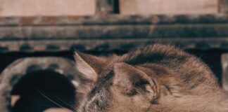 Işık Yılı Kaç Km? Uzayda Mesafeleri Anlamak İçin Bilmeniz Gerekenler