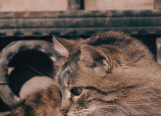 Işık Yılı Kaç Km? Uzayda Mesafeleri Anlamak İçin Bilmeniz Gerekenler