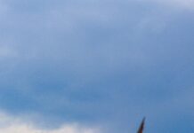 Izmir Kuşadası Kaç Km? Seyahat Planınızı Kolaylaştırın!