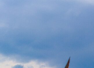 Izmir Kuşadası Kaç Km? Seyahat Planınızı Kolaylaştırın!