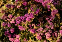 Bursa İstanbul Arası Kaç Km? Yolculuğunuz İçin Bilmeniz Gerekenler