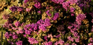 Bursa İstanbul Arası Kaç Km? Yolculuğunuz İçin Bilmeniz Gerekenler