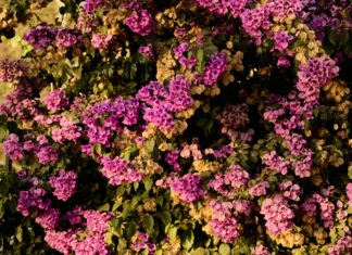 Bursa İstanbul Arası Kaç Km? Yolculuğunuz İçin Bilmeniz Gerekenler