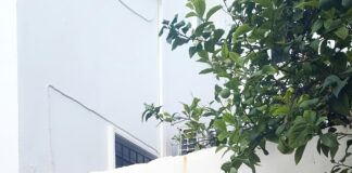 Bodrum Fethiye Arası Kaç Km? Keşfedilmesi Gereken Güzellikler