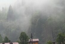 Erzurum Rize Arası Kaç Km? Keşfetmek İçin Bilmeniz Gerekenler