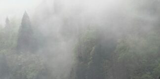 Erzurum Rize Arası Kaç Km? Keşfetmek İçin Bilmeniz Gerekenler