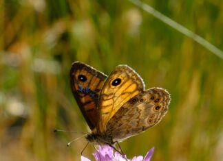 Adana Urfa Arası Kaç Km? Keşfetmek İçin Bilmeniz Gerekenler