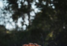 Gaziantep Malatya Arası Kaç Km? Keşfedilmesi Gereken Rota