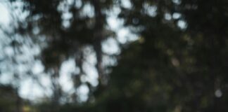 Gaziantep Malatya Arası Kaç Km? Keşfedilmesi Gereken Rota