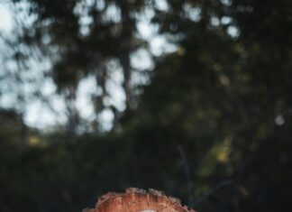 Gaziantep Malatya Arası Kaç Km? Keşfedilmesi Gereken Rota