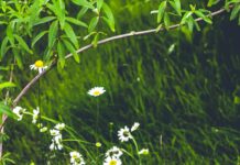 Giresun Sivas Arası Kaç Km? Keşfetmek İçin Bilmeniz Gerekenler