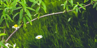 Giresun Sivas Arası Kaç Km? Keşfetmek İçin Bilmeniz Gerekenler