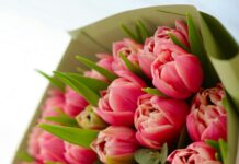 Gaziantep Mersin Arası Kaç Km? Yolculuğunuz İçin Bilgiler