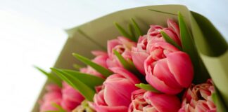 Gaziantep Mersin Arası Kaç Km? Yolculuğunuz İçin Bilgiler