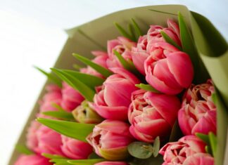 Mersin İzmir Arası Kaç Km? Seyahatinizi Planlayın!