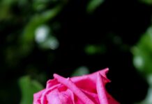 Hatay Ankara Arası Kaç Km? Yolculuğunuz İçin Bilmeniz Gerekenler