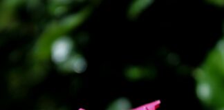 Hatay Ankara Arası Kaç Km? Yolculuğunuz İçin Bilmeniz Gerekenler