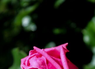 Hatay Ankara Arası Kaç Km? Yolculuğunuz İçin Bilmeniz Gerekenler