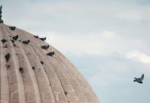 Gaziantep Mardin Arası Kaç Km? Keşfedilmesi Gereken Rota!