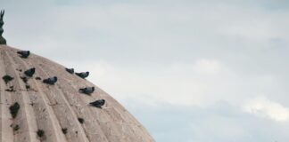 Gaziantep Mardin Arası Kaç Km? Keşfedilmesi Gereken Rota!