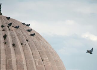 Gaziantep Mardin Arası Kaç Km? Keşfedilmesi Gereken Rota!