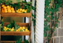 Gaziantep Diyarbakır Arası Kaç Km, Yolculuk İçin İpuçları