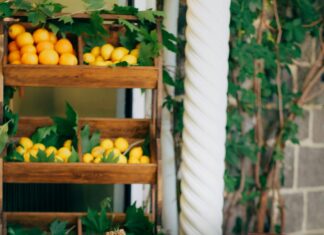 Gaziantep Diyarbakır Arası Kaç Km, Yolculuk İçin İpuçları