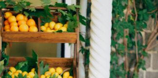 Mersin Diyarbakır Arası Kaç Km? Seyahat İçin Bilmeniz Gerekenler