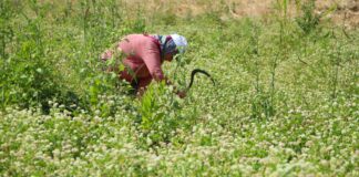 Afyon Antalya Arası Kaç Km? Seyahat Planınızı Kolaylaştırın!