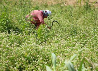 Afyon Antalya Arası Kaç Km? Seyahat Planınızı Kolaylaştırın!