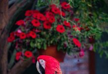 Ankara Fethiye Arası Kaç Km? Keşfedilmeyi Bekleyen Güzellikler