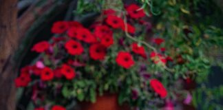 Ankara Fethiye Arası Kaç Km? Keşfedilmeyi Bekleyen Güzellikler