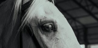 Ankara Kastamonu Arası Kaç Km? Keşfetmek İsteyeceğiniz Rota!