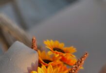 Ankara Malatya Arası Kaç Km? Seyahatinizi Planlayın!