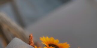 Ankara Malatya Arası Kaç Km? Seyahatinizi Planlayın!