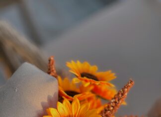 Ankara Malatya Arası Kaç Km? Seyahatinizi Planlayın!