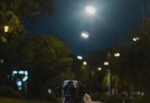 Ankara Sivas Arası Kaç Km? Mesafeyi Öğrenmek İçin Tıkla!