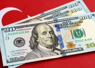 20 Dolar Kaç TL? Güncel Döviz Kuru ile Hesaplayın