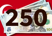250 Dolar Kaç TL? Güncel Döviz Kuru ile Hesaplayın