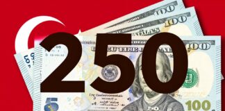 250 Dolar Kaç TL? Güncel Döviz Kuru ile Hesaplayın