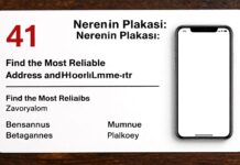 41 Nerenin Plakası: Türkiye’de En Güvenilir Adres ve Telefon Numarası Bulun