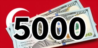 5000 Dolar Kaç TL? Güncel Döviz Kuru ile Hesaplayın