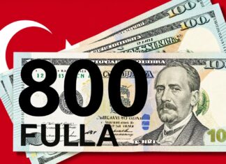800 Dolar Kaç TL? Güncel Döviz Kuru ile Hesaplayın
